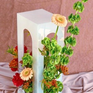 ACRYLIC BOX - Vibrant Mix