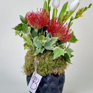 CENTER PIECE - Compact