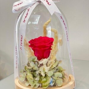 PRESERVED ROSE - Single Red